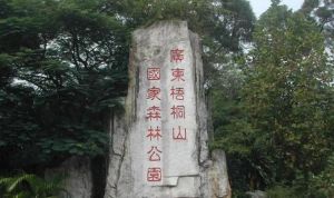 梧桐山