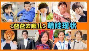 《爸爸去哪兒》萌娃現狀