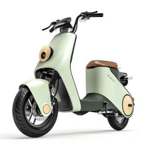 電動自行車