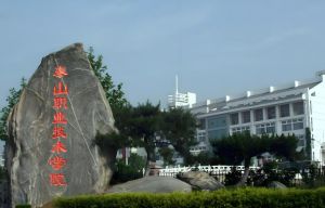 泰山職業(yè)技術(shù)學(xué)院