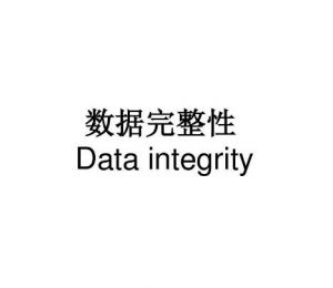 數據完整性