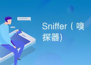 嗅探