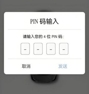 PIN個(gè)人身份識(shí)別碼 PIN個(gè)人身份識(shí)別碼