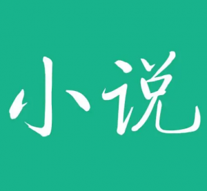 小說