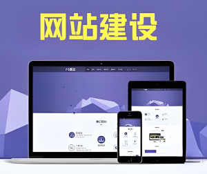 網(wǎng)站建設(shè)