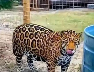 攀枝花動物園