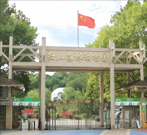 紅山森林動物園