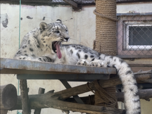 西寧野生動物園