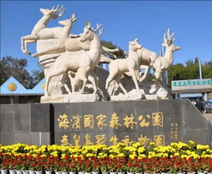 秦皇島野生動物園