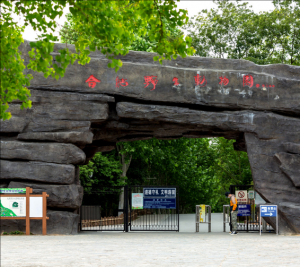 合肥野生動物園