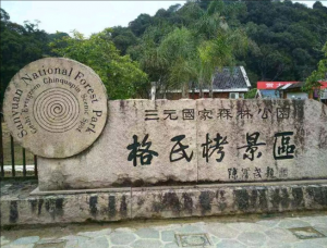 三明格氏栲省級自然保護區