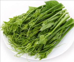 龍須菜