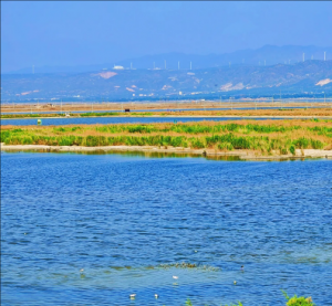 運城鹽湖