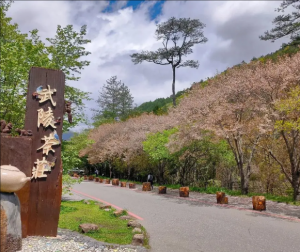 臺(tái)灣武陵風(fēng)景區(qū)