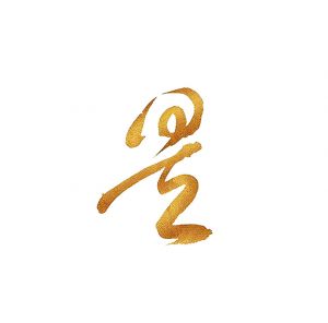 上海昊善律師事務所