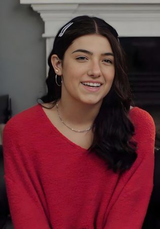 查莉·達梅利奧