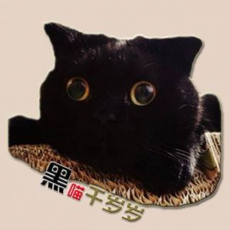 黑喵千歲歲