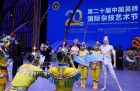 第二十屆中國吳橋國際雜技藝術節